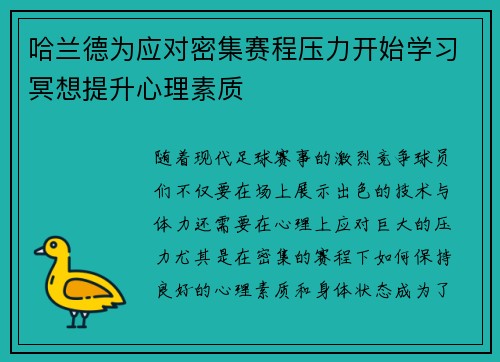哈兰德为应对密集赛程压力开始学习冥想提升心理素质